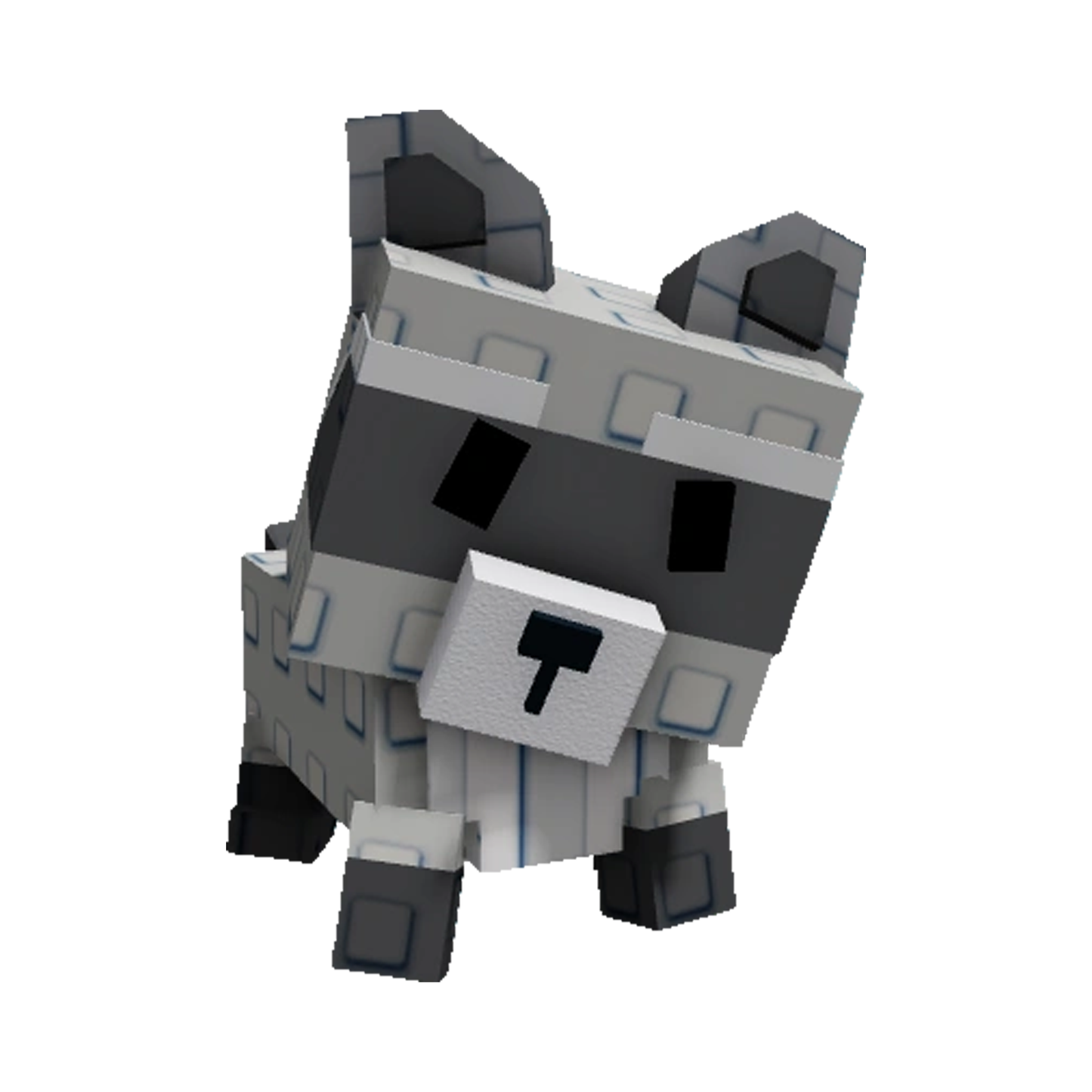 Raccoon